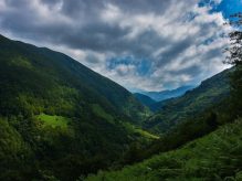 جنگل فندقلو اردبیل نقاشی زیبای خداوند جنگل فندقلو اردبیل نقاشی زیبای خداوند