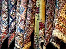 رضا صادق زاده