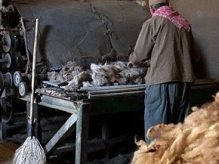 ریسندگی نیمه فاستونی و ریسندگی پشمی ریسندگی نیمه فاستونی و ریسندگی پشمی