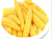خواص کنسرو ذرت2