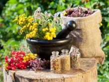 گیاه درمانی گیاه درمانی