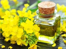 خواص روغن کانولا برای مو خواص روغن کانولا برای مو