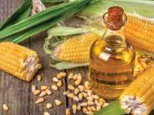 فواید و استفاده‌های روغن ذرت