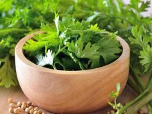 خواص گشنیز خواص گشنیز